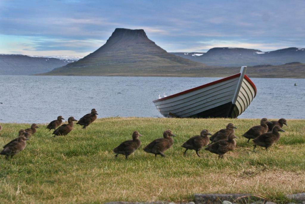 Hotel Isafjordur - Horn Exterior foto